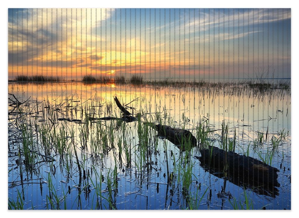 Wallario Duschmatte Antirutschmatte Badmatte Fußmatte Schilf am Abend - Sonnenuntergang über der Seelandschaft, Größe ca. 70 x 50 cm
