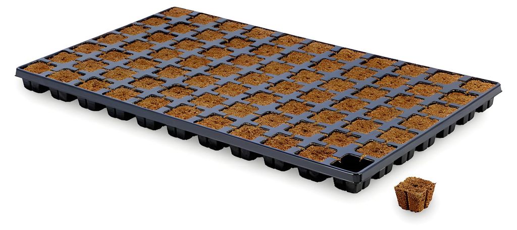 Eazy Plug, Anzuchtmatte, 77 Stk. (eckig) Produktbild 