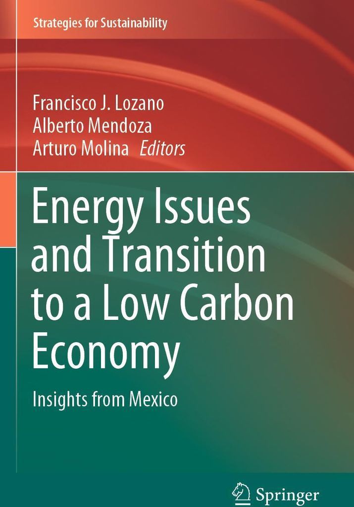 Energy Issues and Transition to a Low Carbon Economy