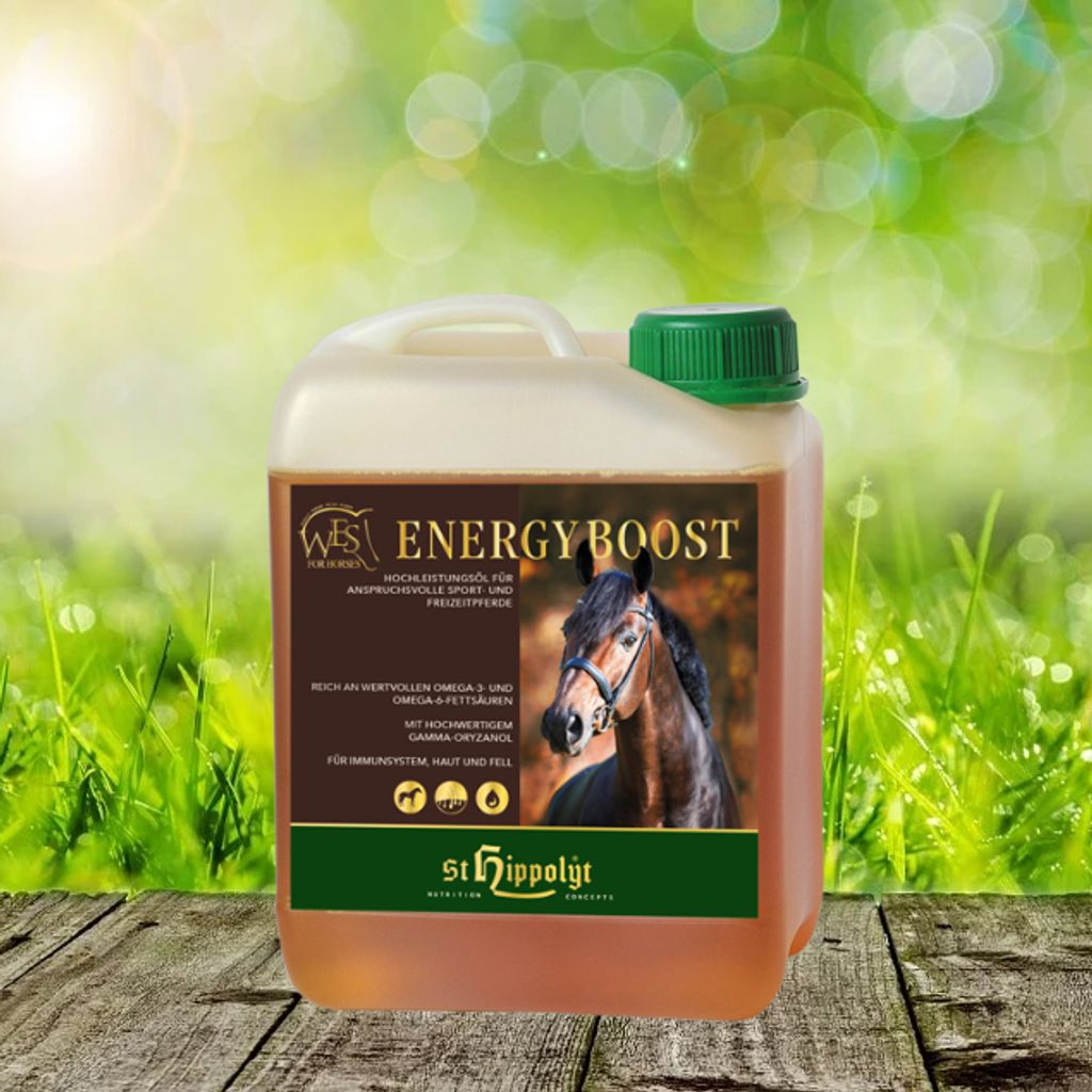 St. Hippolyt WES Energy Boost | 5 ltr.