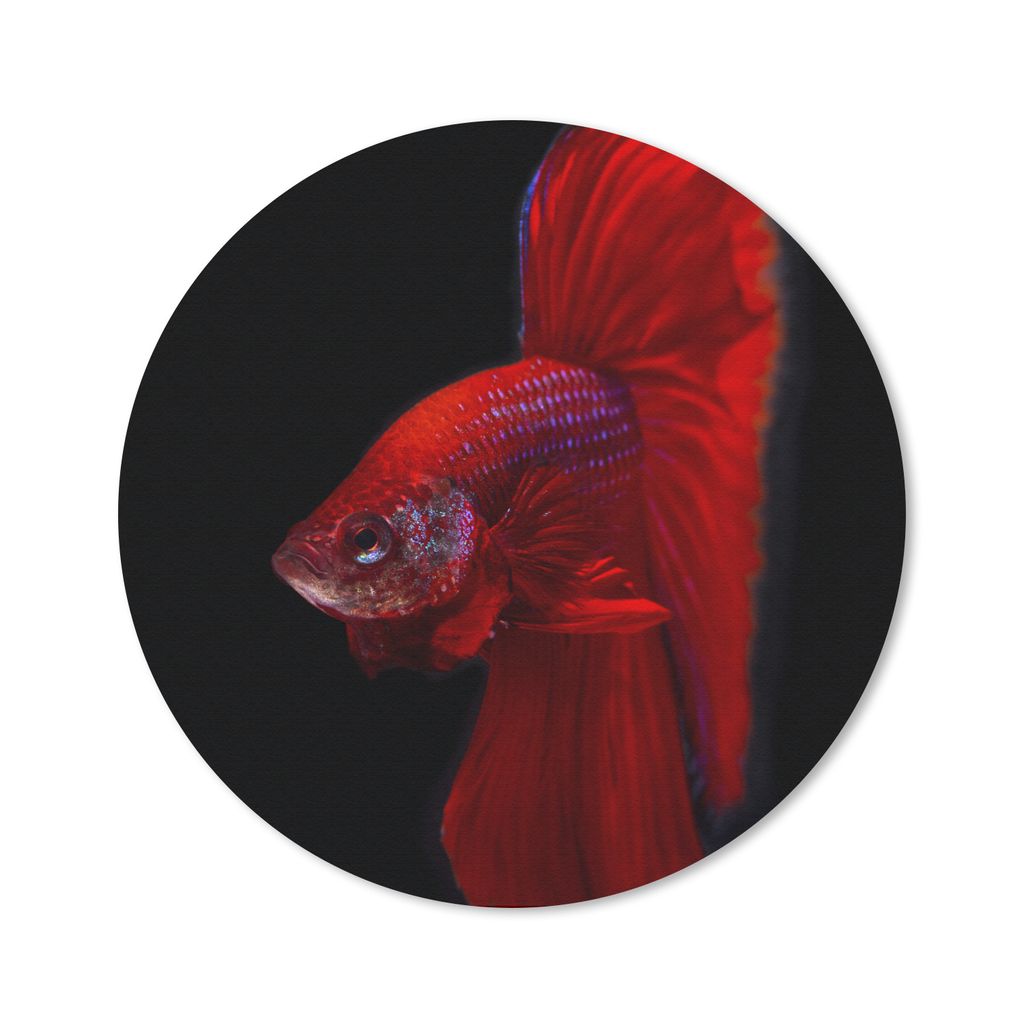 MuchoWow Mauspad Mousepad Fische - Tiere - Rot 50x50 cm - Mousepads - Maus Mat - Pad - Mausunterlage