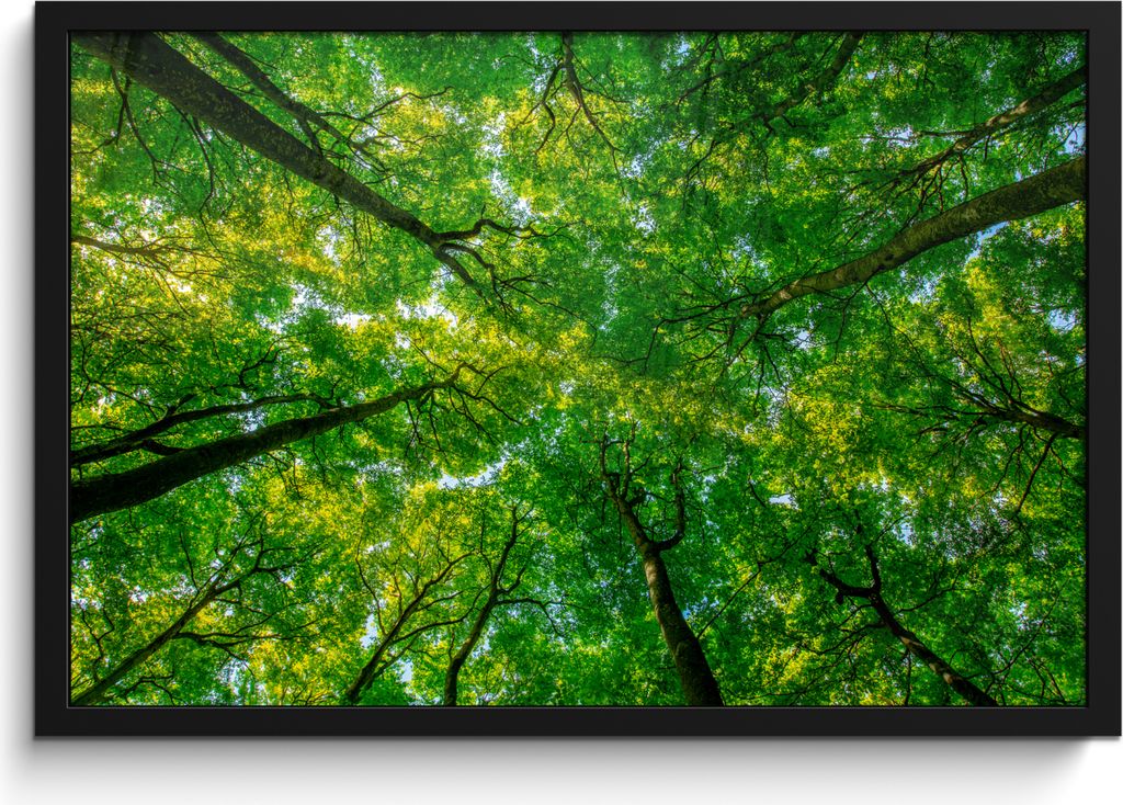 MuchoWow MuchoWow Gerahmtes Poster Wald - Bäume - Grün 60x40 cm - Poster mit zchwarzem Bilderrahmen - Printing - Wanddeko Schlafzimmer