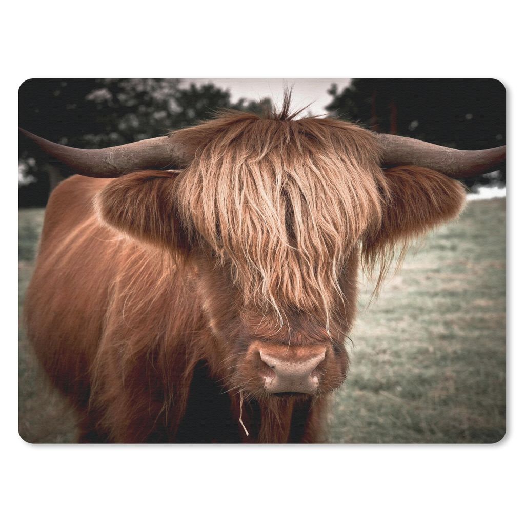 MuchoWow® Mauspad Mousepad Schottischer Highlander - Baum - Produktbild 