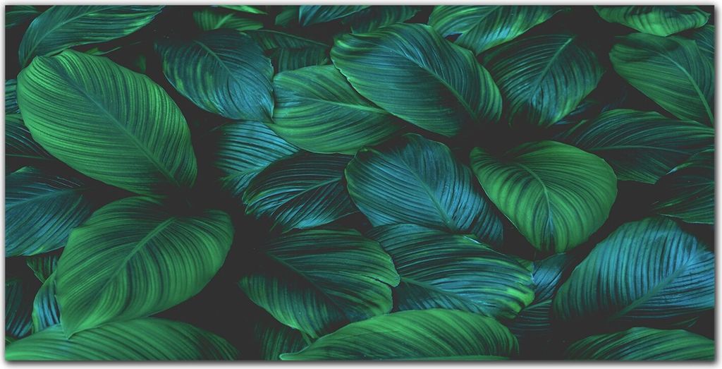 Coloray Küchenrückwand 140x70 Spritzschutz aus Glas - Blume Pflanze Blätter