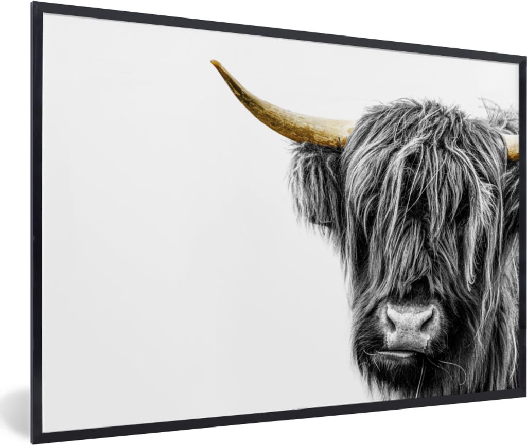 MuchoWow Gerahmtes Poster Scottish Highlander - Weiß - Schwarz & Gold 90x60 cm - Poster mit Schwarzem Bilderrahmen Wandposter Rahmen Foto Bilder...