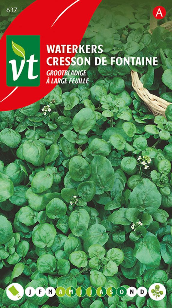 Graines de cresson de fontaine Big Leaf - Environ 1,5 gr | Image du produit 