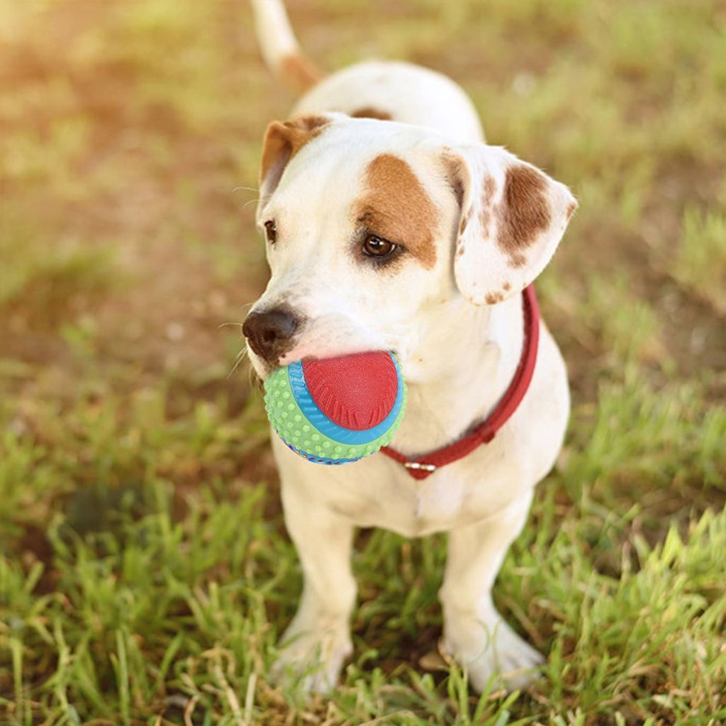Haustierspielzeug,Hundeballspielzeug,Haustiergummiball,Welpenkauspielzeug,elastischer Ball,Hundespielzeug zum Holen
