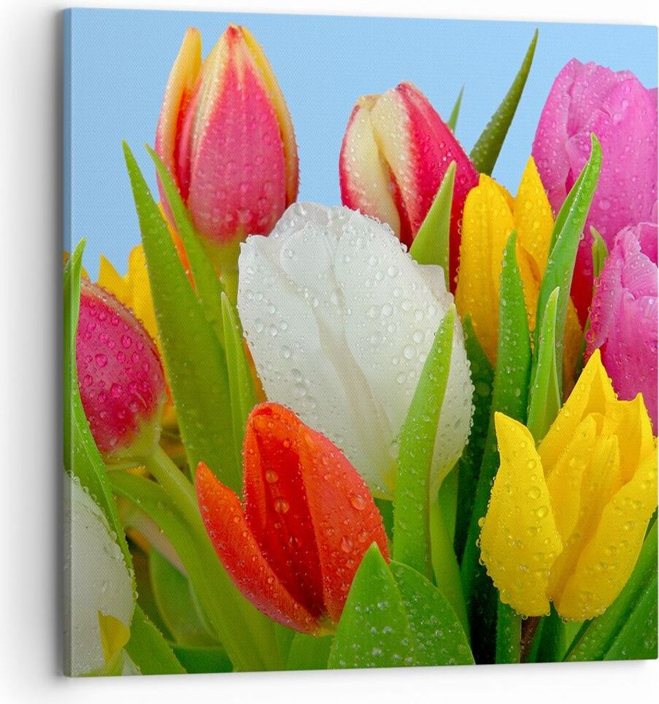 Bild auf Leinwand - Leinwandbild - Tulpen Blumenstrauß Blumen Tau - 70x70cm - Wand Bild - Wanddeko - Leinwanddruck - Bilder - Kunstdruck - Wanddek...