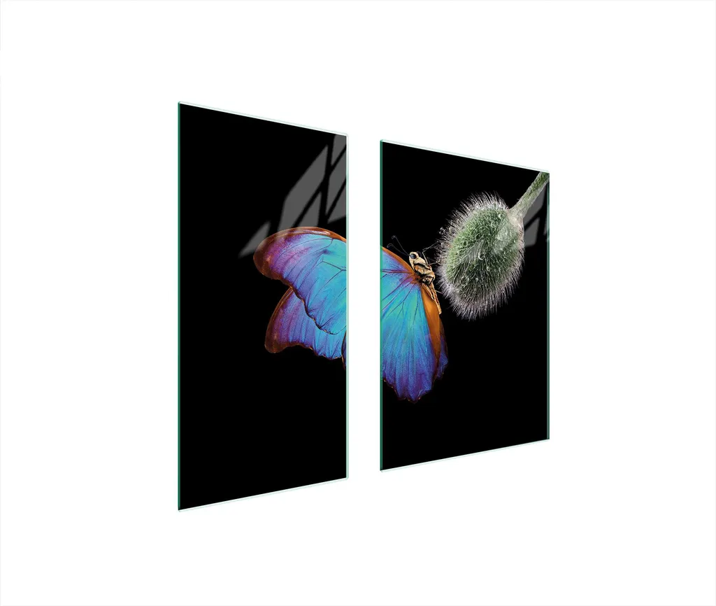 Tagliere Vetro 75x52 Coprifornelli Ceramica 2pz Farfalla Multicolore