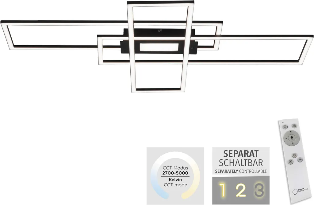 Lampada Soffitto LED 99cm Nera Dimmerabile Telecomando 230V - 3