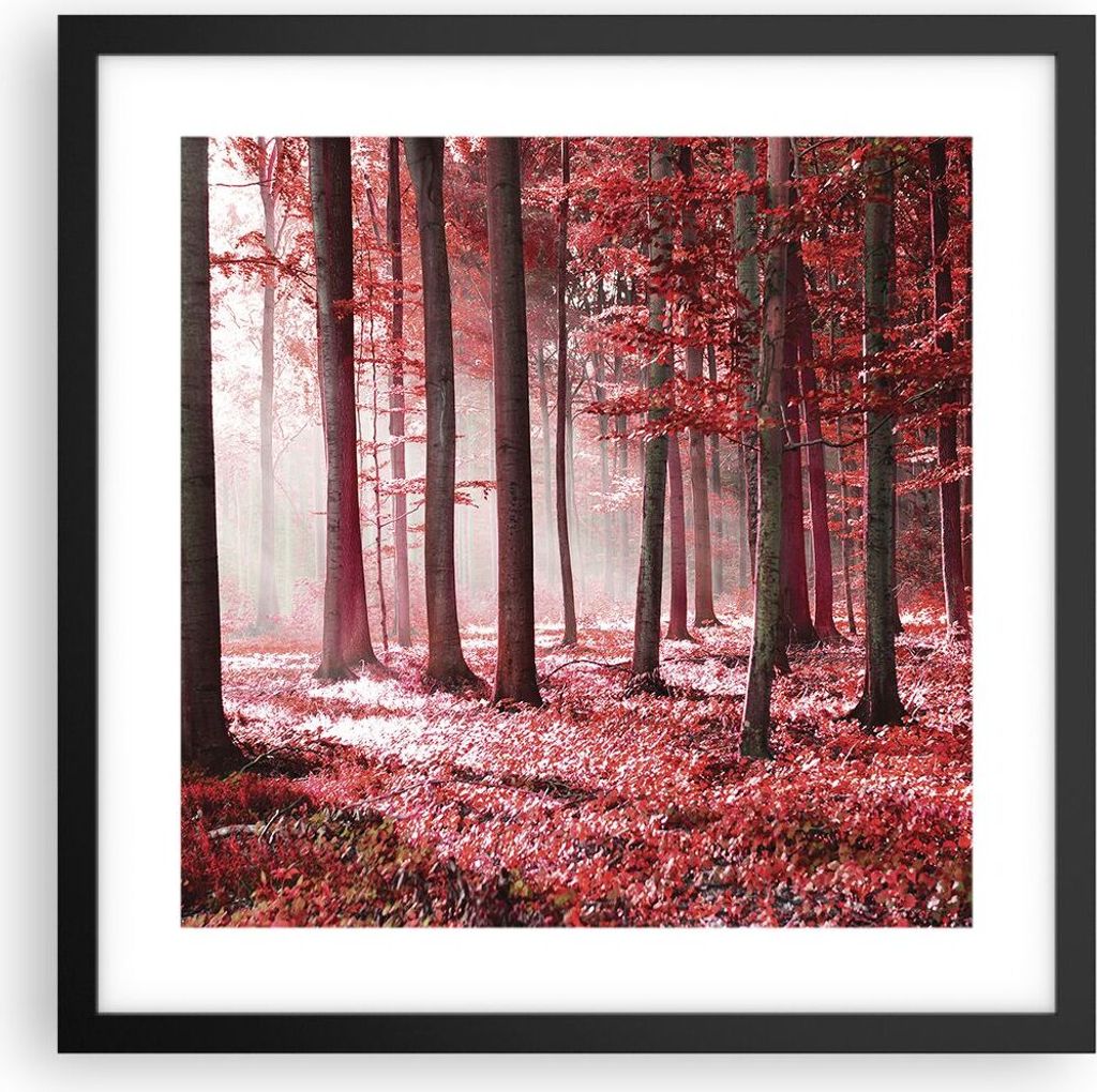 Gerahmtes Poster - Schwarzer Rahmen - Wald Rot Bäume - 40x40 cm - Wand Bild - Wanddeko - Wandbilder - Kunstposter - Wandposter - Bilderrahmen - Bi...