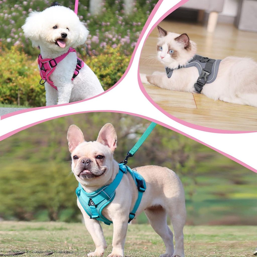 Verstellbares Katzen-Harness - Anti-Entkommen - Rosa - Geeignet für Katzen, Kätzchen, Hunde und Welpen