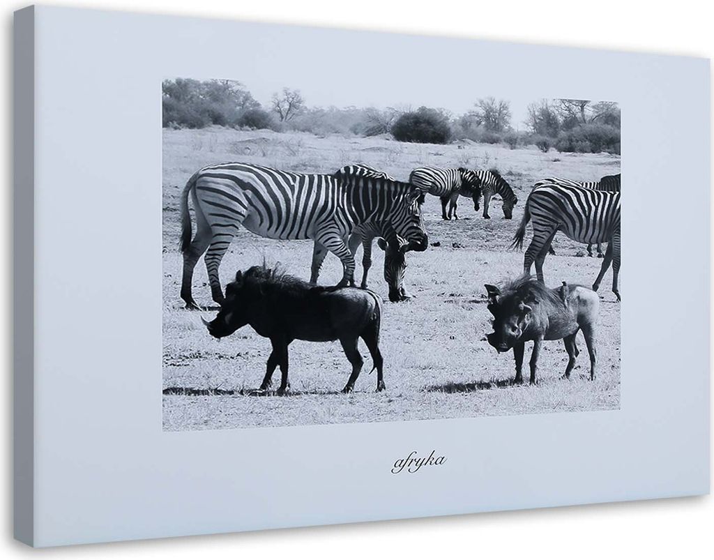 Leinwandbild afrika - zebras in der savanne 60x40 cm Feeby grau wandbild bereit zum aufhängen