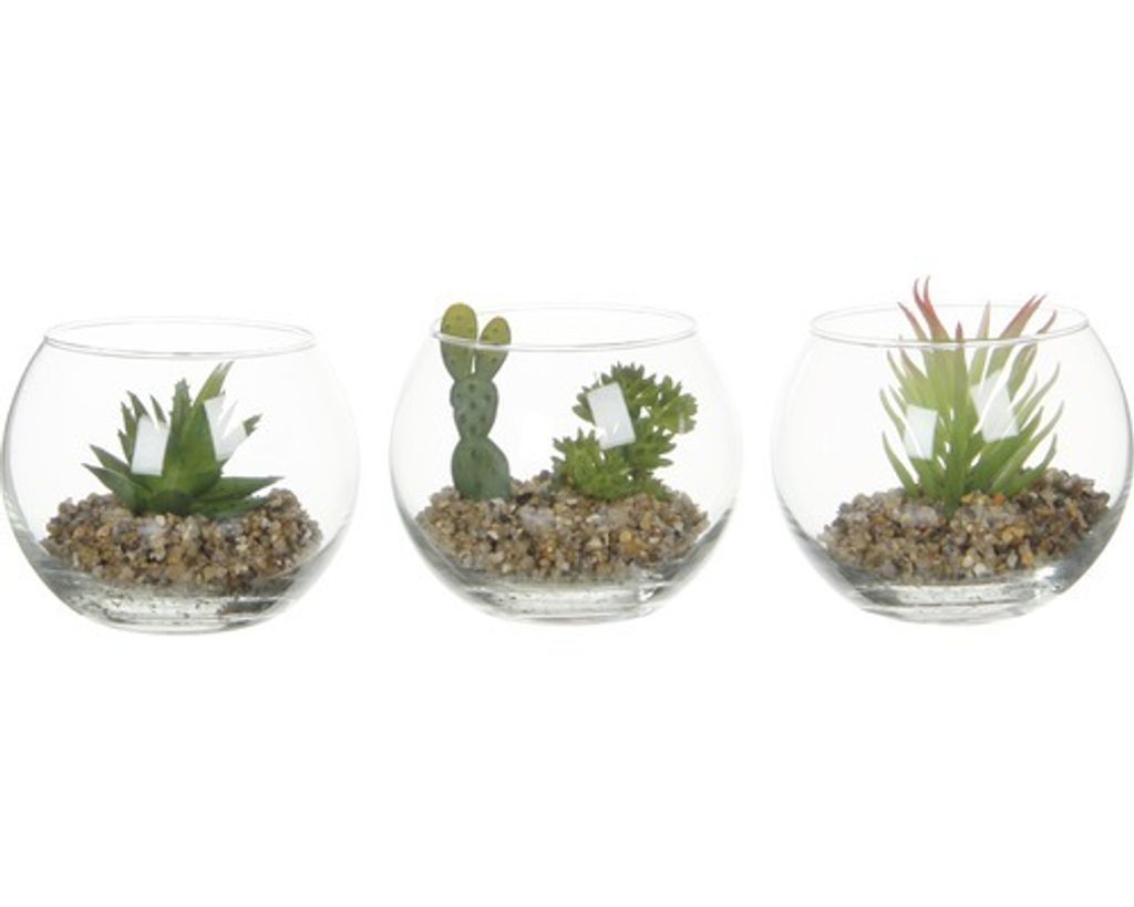 Kunstpflanze Mica Sukkulente im Glas Ø 10 cm H 8 cm Produktbild 