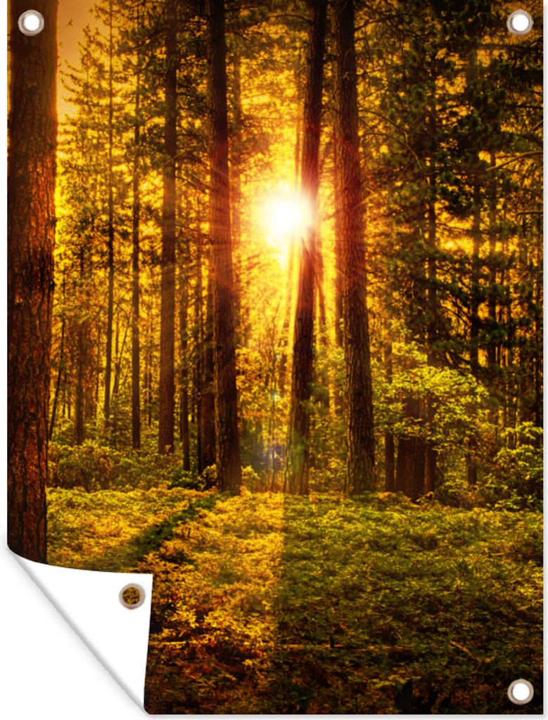 MuchoWow 90x120 cm Outdoor-Poster Gartendeko Sichtschutz Garten Poster für den Garten Wald - Sonne - Bäume - Natur - Sonnenuntergang