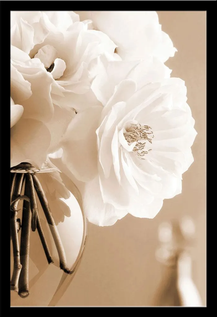 Affiche Roses en sépia Zalewski et son Cadre Shinsuke® Noir 61x91,5 cm