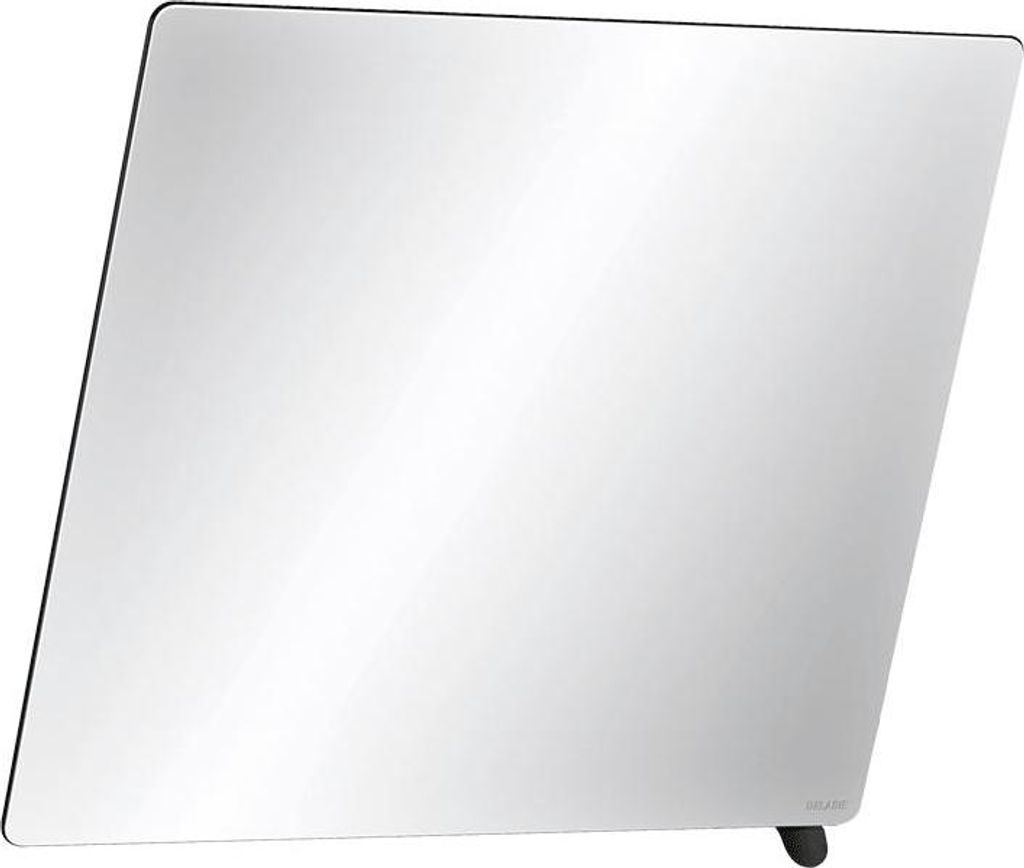 Delabie Kippspiegel 600x500 mm, Griff matt schwarz
