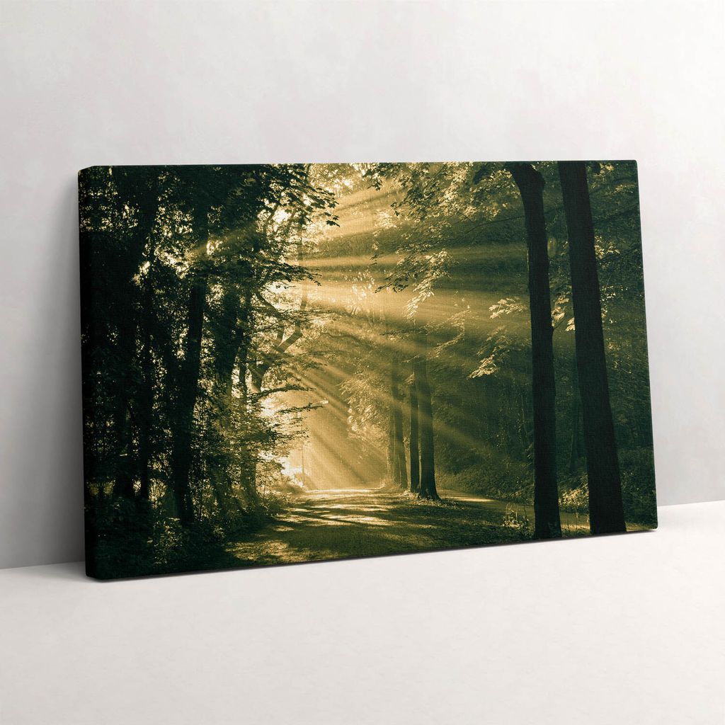 Sonnenstrahlen im Wald – Leinwandbild Wandbild – 60x40 cm – Leinwandbilder – Wandbilder – Schlafzimmer – Flur