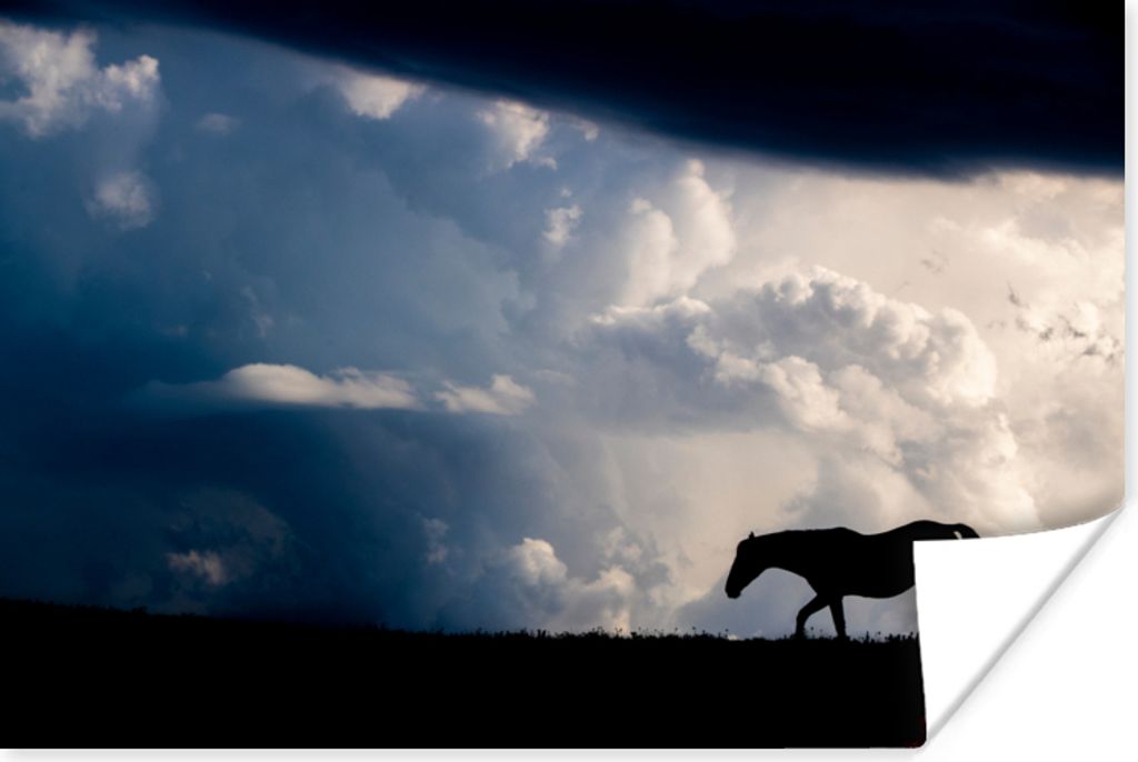 MuchoWow Poster Pferd - Wolken - Schatten 90x60 cm - Schlafzimmer