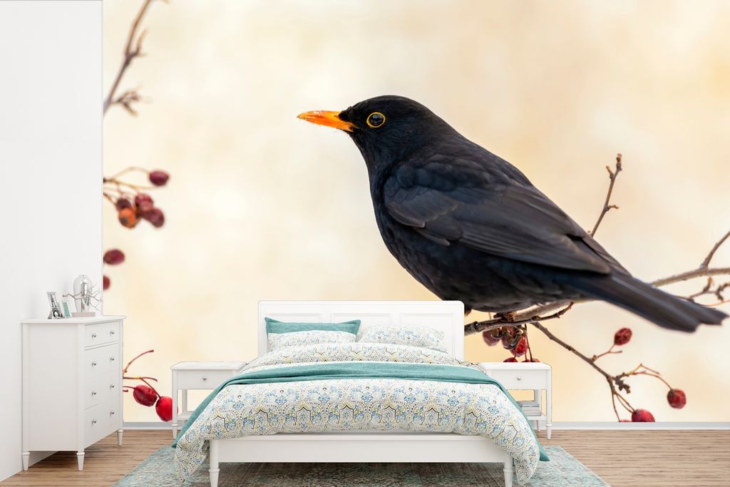 MuchoWow Fototapete für Wohnzimmer oder Schlafzimmer Wandtapete Vinyl Motivtapete Amsel - Vogel - Zweige - Beere - Rot - 525x350 cm - Das Hinter...