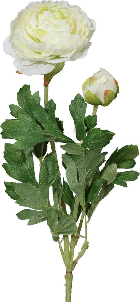 Kunstblume, Seidenblume RANUNKEL ca 40cm CREME Produktbild 