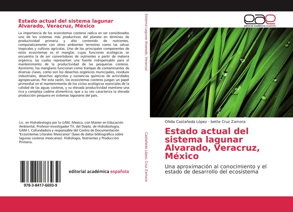 Estado actual del sistema lagunar Alvarado, Veracruz, México