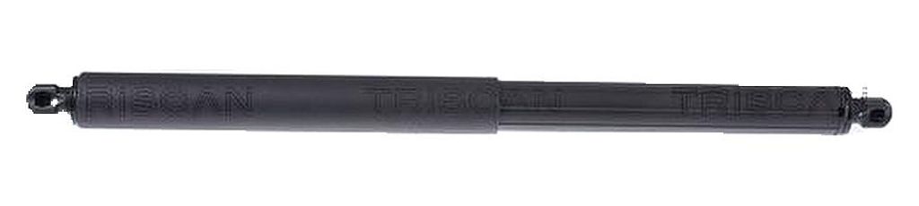 Gasfeder Koffer-/Laderaum Hub 148 mm 710 N TRISCAN passend für BMW X5