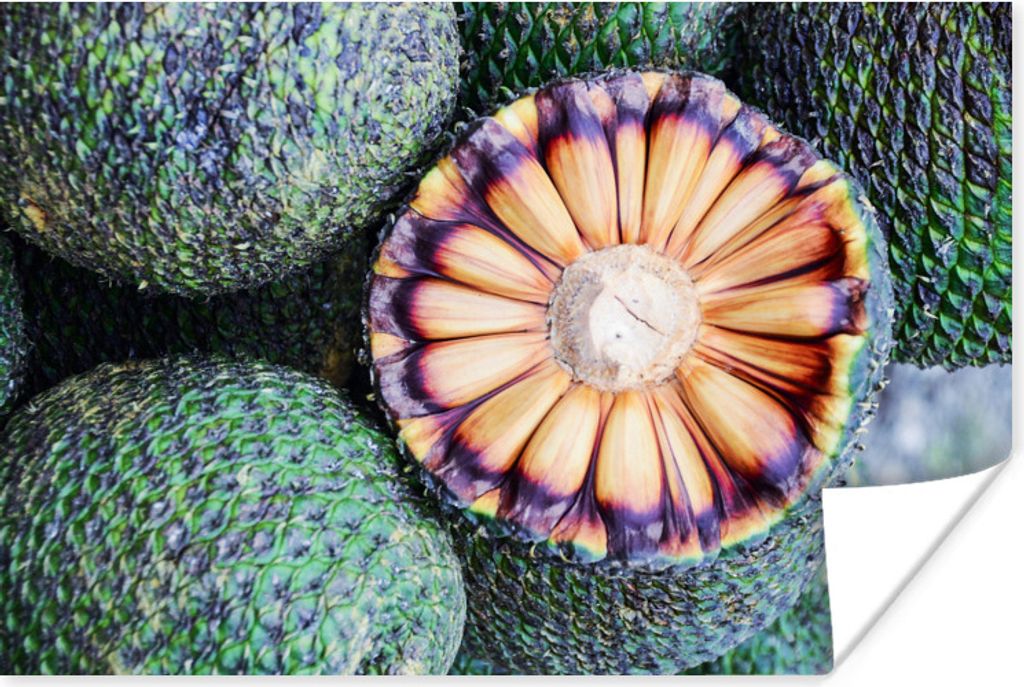 MuchoWow Poster Fotodruck brasilianische Früchte 30x20 cm - Plakate - Print