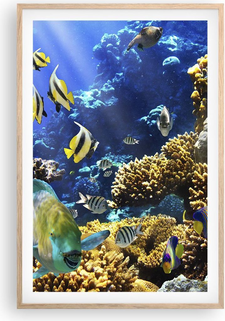 Gerahmtes Poster - Rahmen in heller Eiche - Korallenriff Ozean Krabbe Fisch - 61x91,5 cm - Wand Bild - Wanddeko - Wandbilder - Wandposter - Bilderr...