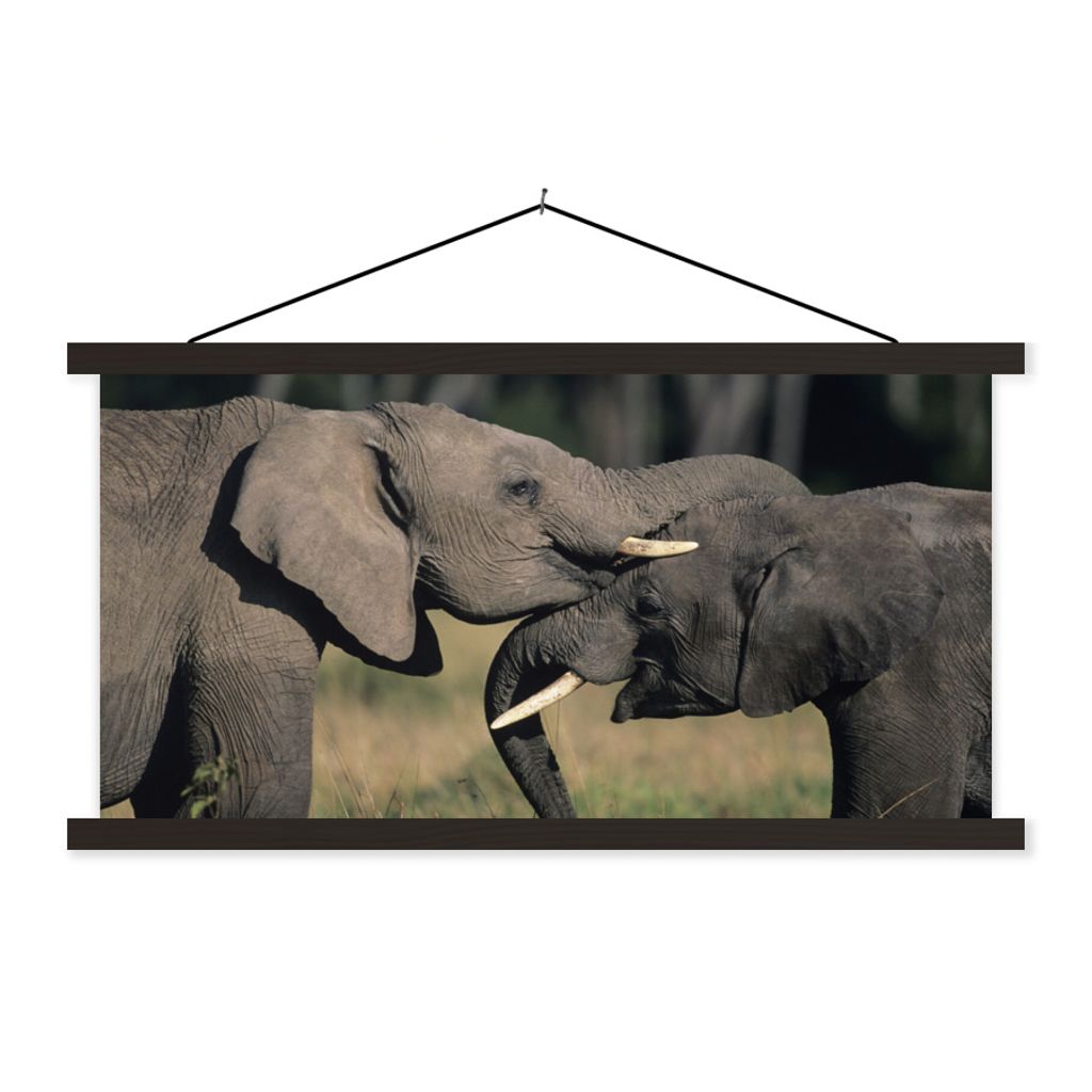 MuchoWow Textilposter Elefant - Tiere - Grau - Natur 150x75 cm mit schwarzem Rahmen - Posterleiste
