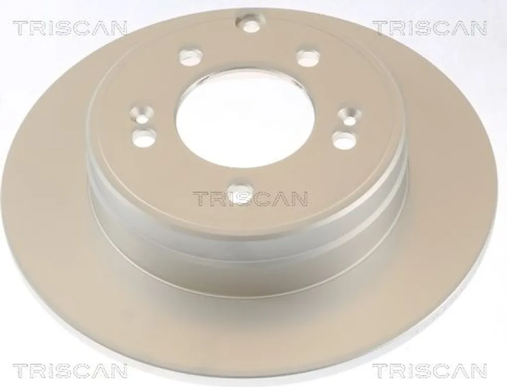 2 disques de frein TRISCAN arrière pour véhicule sans frein électrique - 8120