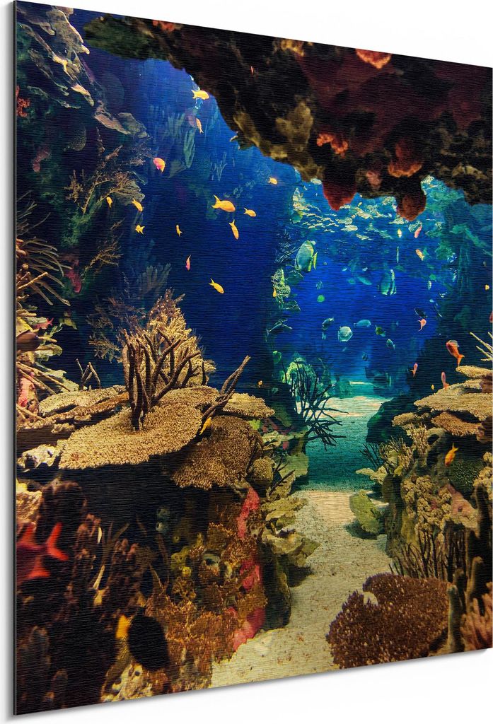 DEQORI Alu-Dibond Bild Gold 30x30 cm 'Exotisches Aquarium' Wandbild Metall dünn Design