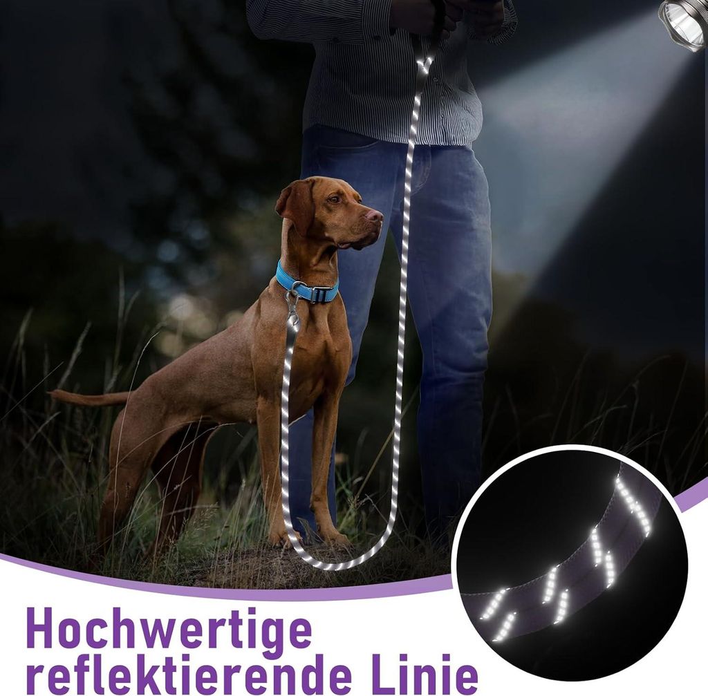 Starke Laufleine 9 m - Komfortabel gepolsterte Hundeleine für das Training - Welpen, kleine, mittelgroße und große Hunde Hundeleine