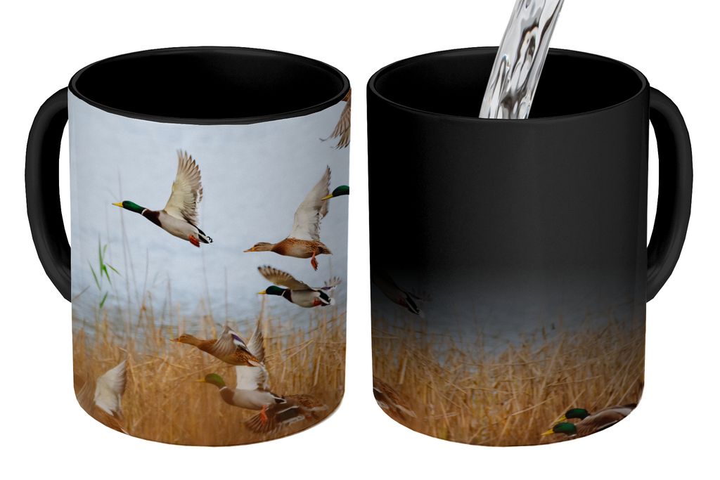 KitchenYeah Zauber Tasse Zaubertasse Magic Ente - Vogel - Schilf - Wasser - Enten 350 ml Farbwechsel Becher Geschenk Geschenkidee - Magic-Tasse -...