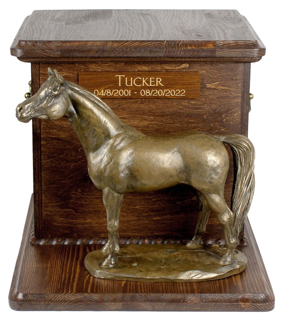 Australisches Zuchtpferd - Eine Urne für die Asche eines Pferdes mit einer Statue, personalisierte Urne mit Gravur, große Schachtel für Pferdeas...