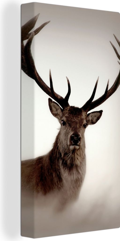 MuchoWow - Leinwandbilder - Porträt - Hirsch - Geweih, Wandbild, Wanddeko Bilder Wohnzimmer, 20x40 cm