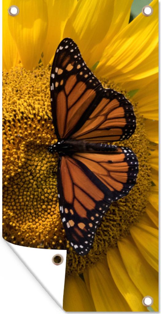 MuchoWow 40x80 cm Outdoor-Poster Gartendeko Sichtschutz Garten Poster für den Garten Sonnenblume - Schmetterling - Frühling