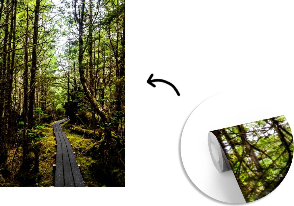 MuchoWow Fototapete für Wohnzimmer oder Schlafzimmer Wandtapete Vinyl Motivtapete Pfad durch die Wälder des kanadischen Queen-Charlotte-Archipe...