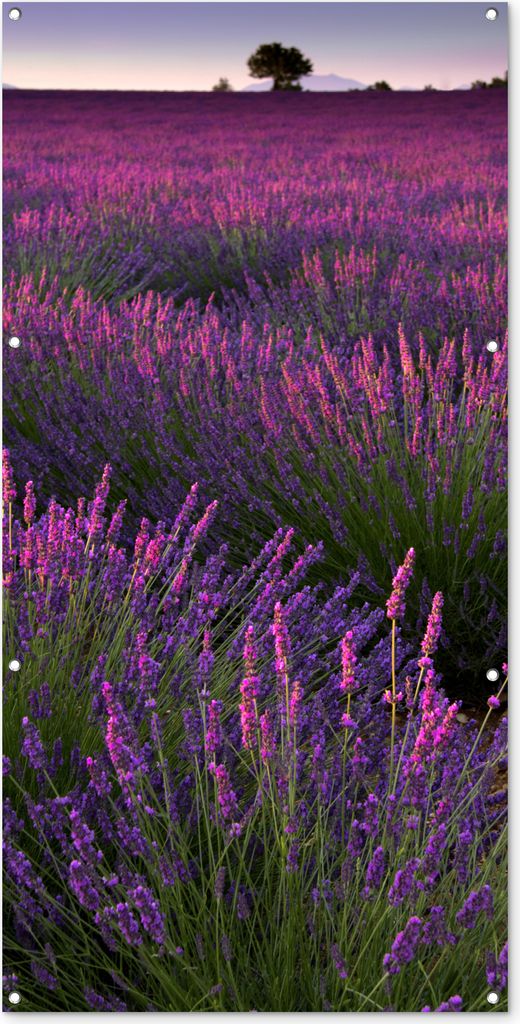 MuchoWow 80x160 cm Outdoor-Poster Gartendeko Sichtschutz Garten Poster für den Garten Die Lavendelregion im französischen Mutterland