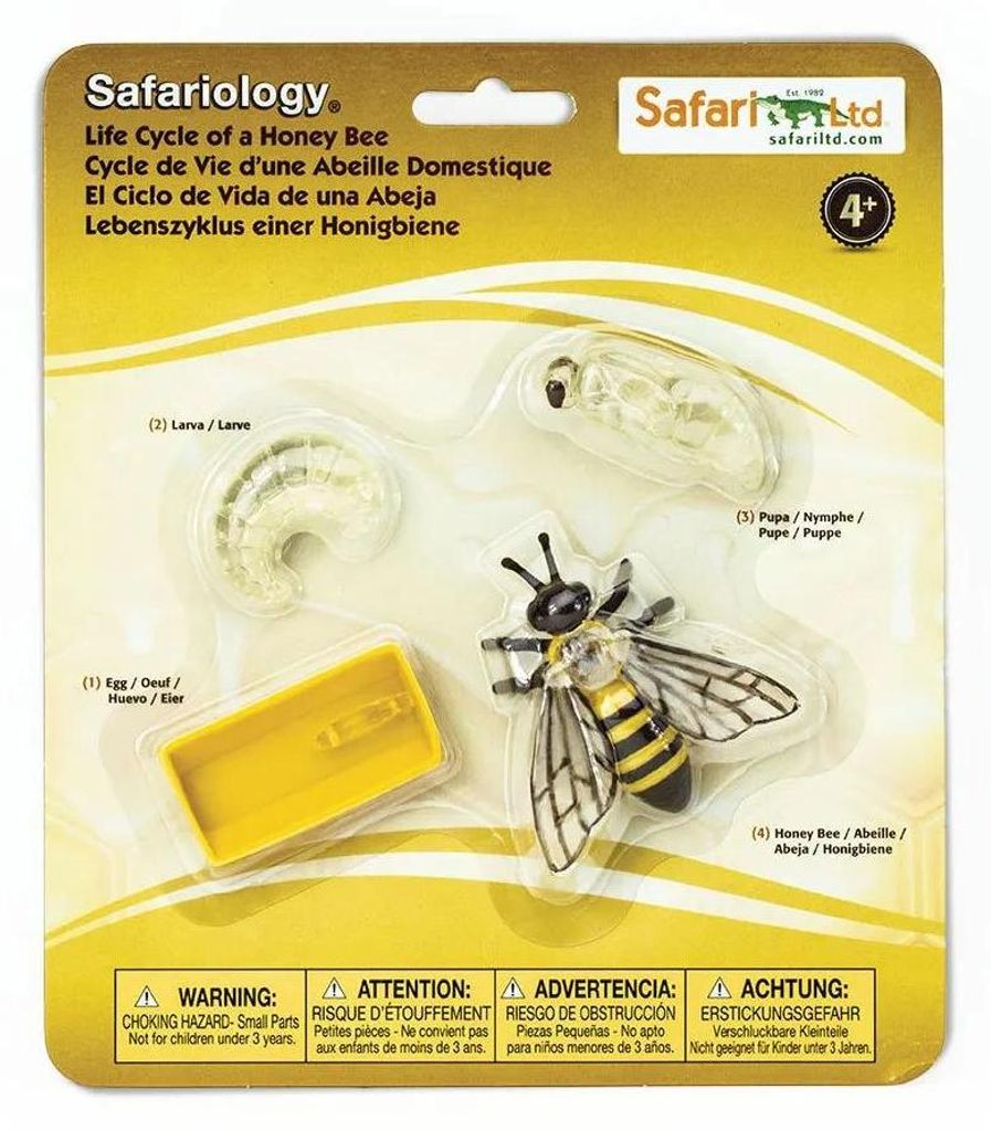 Safari Ltd Lebenszyklus Einer Honigbiene Mehrfarbig From 3 Produktbild 
