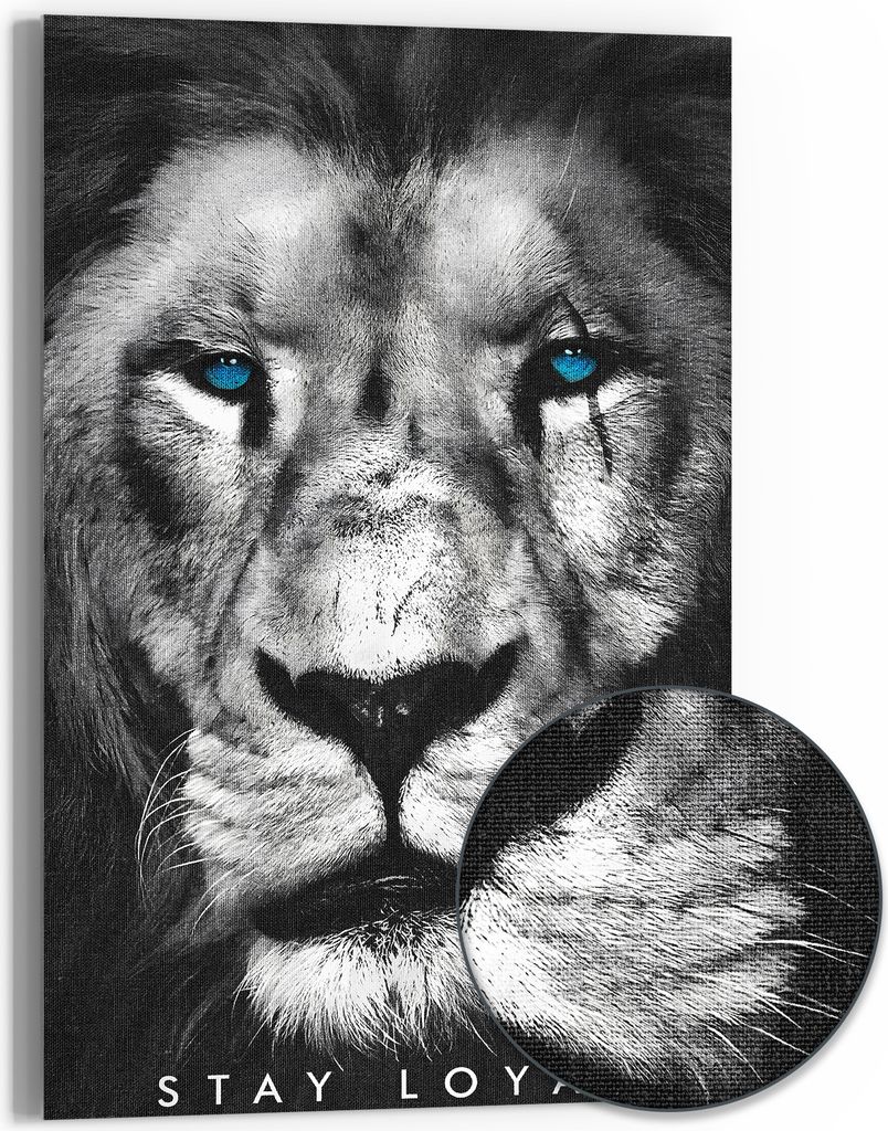 DEQOART Hybrid Leinwand Bild 60x90 cm 'Loyaler Blick' Wandbild Glas flach modern
