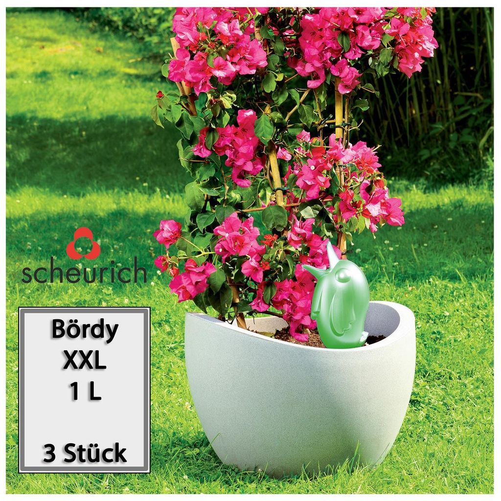Scheurich Wasserspender Bördy XXL | 3x Grün | 1000 ml Produktbild 