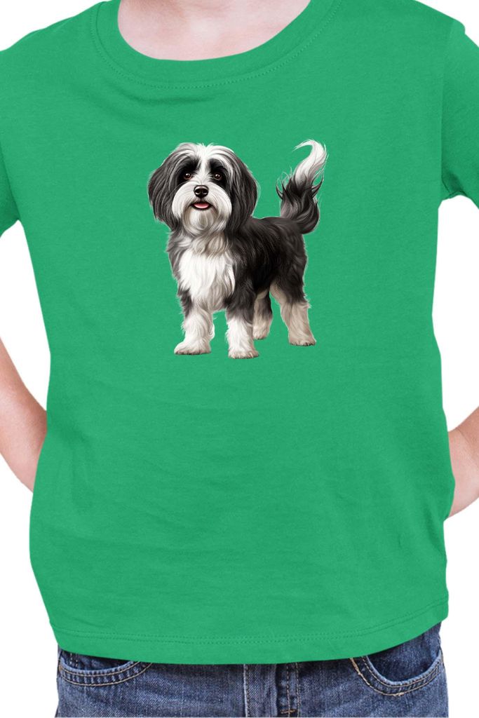 Kinder T-Shirt Dogs Breeds Havanese Dog Breed 005, 3-4 Jahr - 104 / Grün