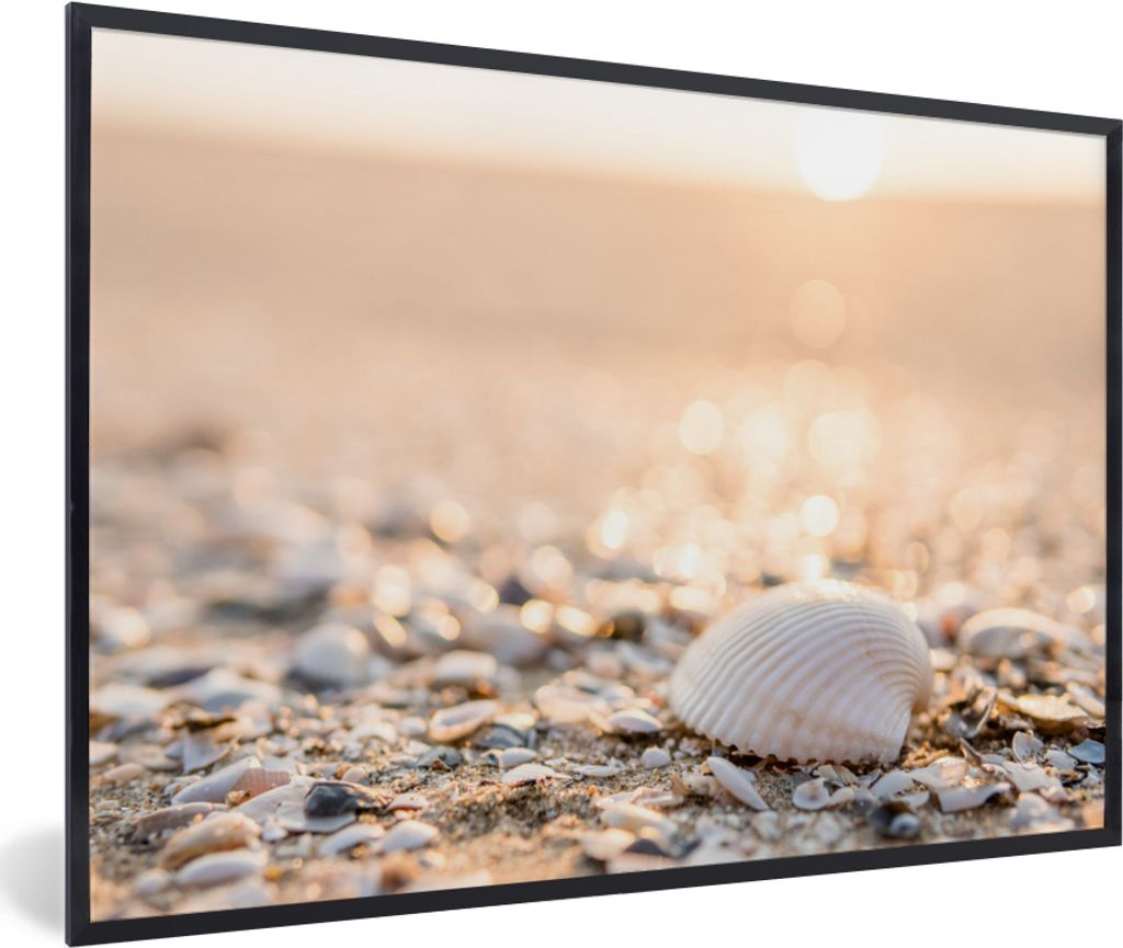 MuchoWow® Gerahmtes Poster Muscheln - Weiß - Strand - Produktbild 
