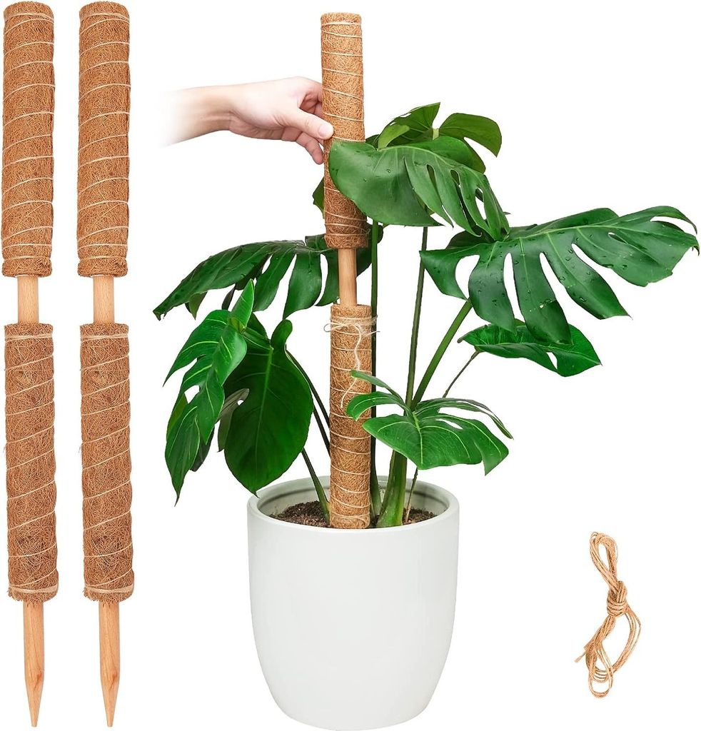 Verstellbare Pflanzenstützen - 157 Zoll Kokosstamm - Monstera, Pothos - 4 Stück Moosstab Pflanzenstütze