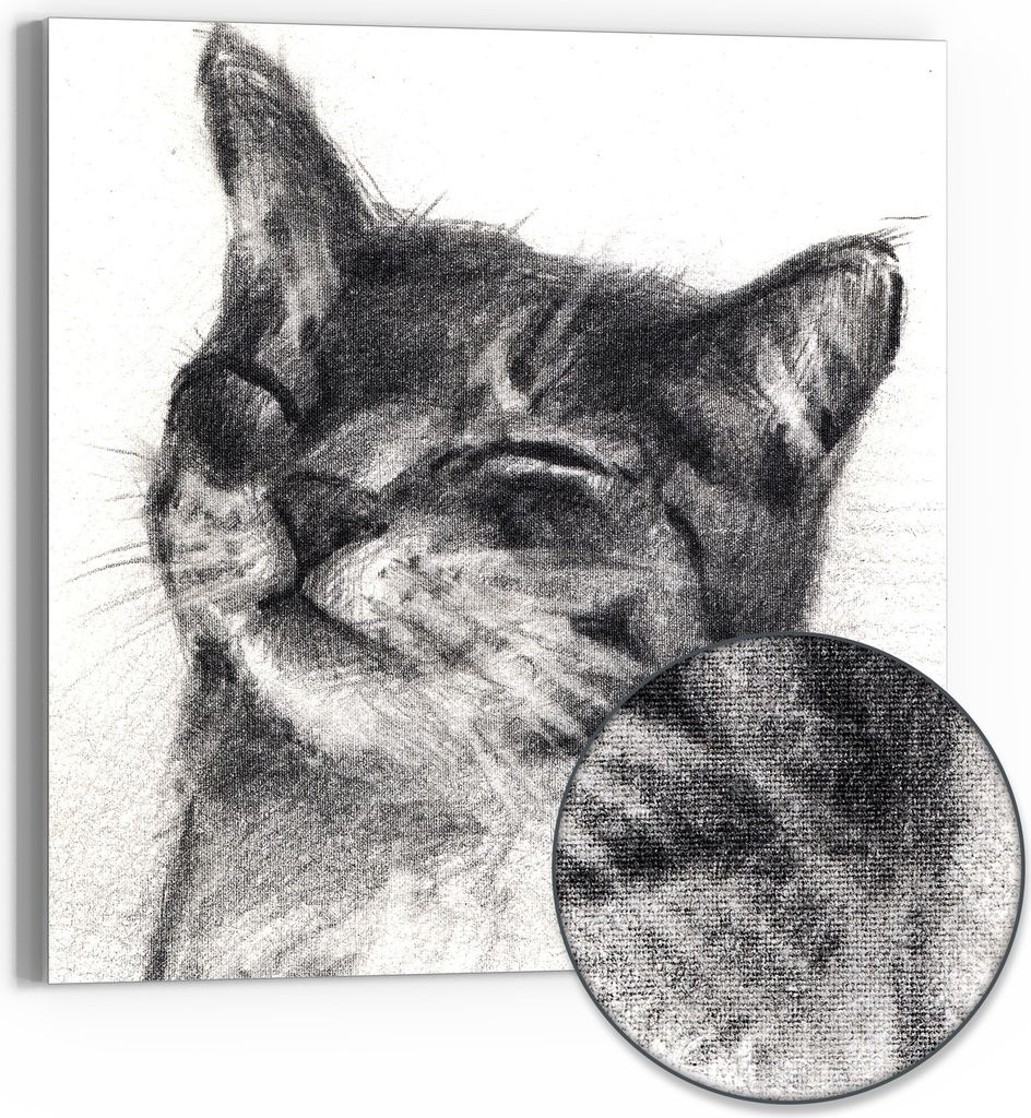 DEQORI Hybrid Leinwand Bild 30x30 cm 'Sanftes Schnurren' Wandbild Glas flach modern