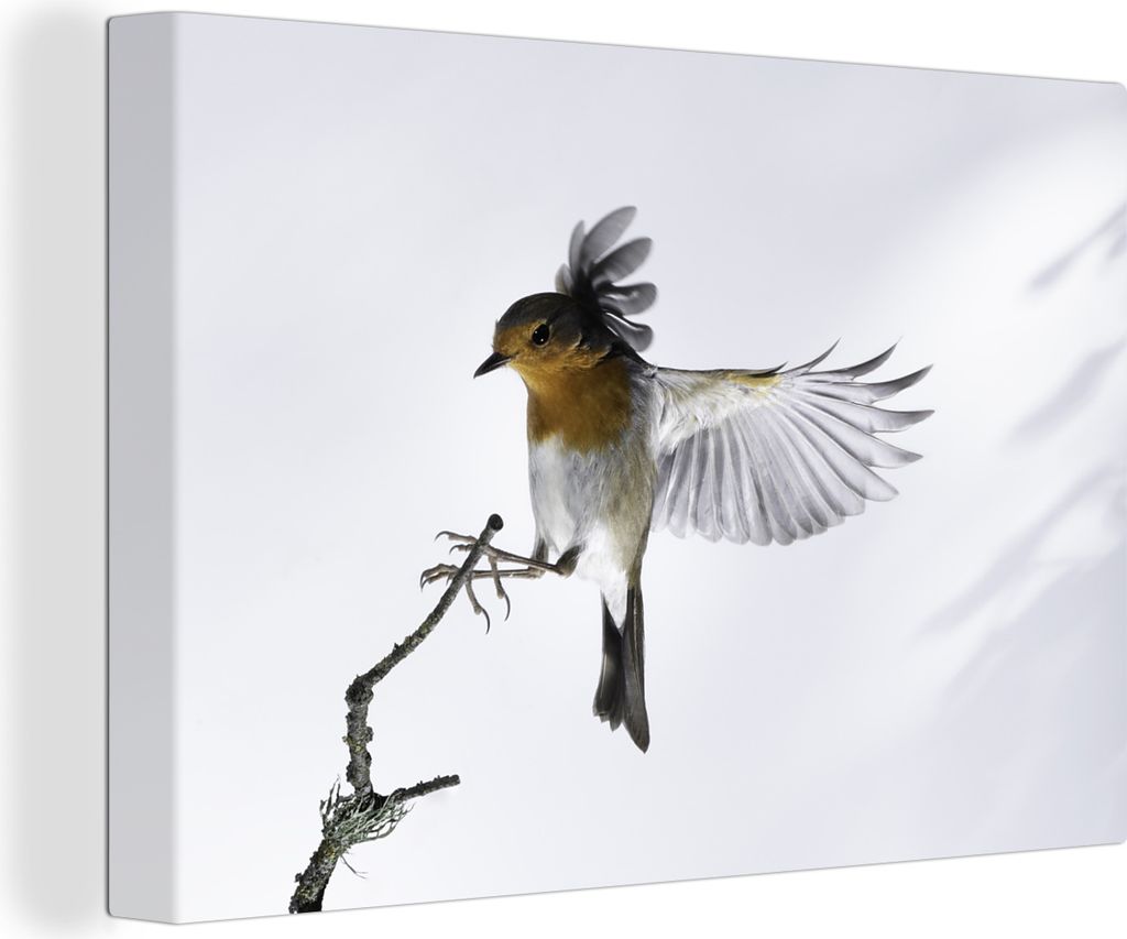 OneMillionCanvasses - Leinwandbilder - 140x90 cm, Robin - Zweig - Tiere, Wandbilder Kunstdruck Wanddekoration