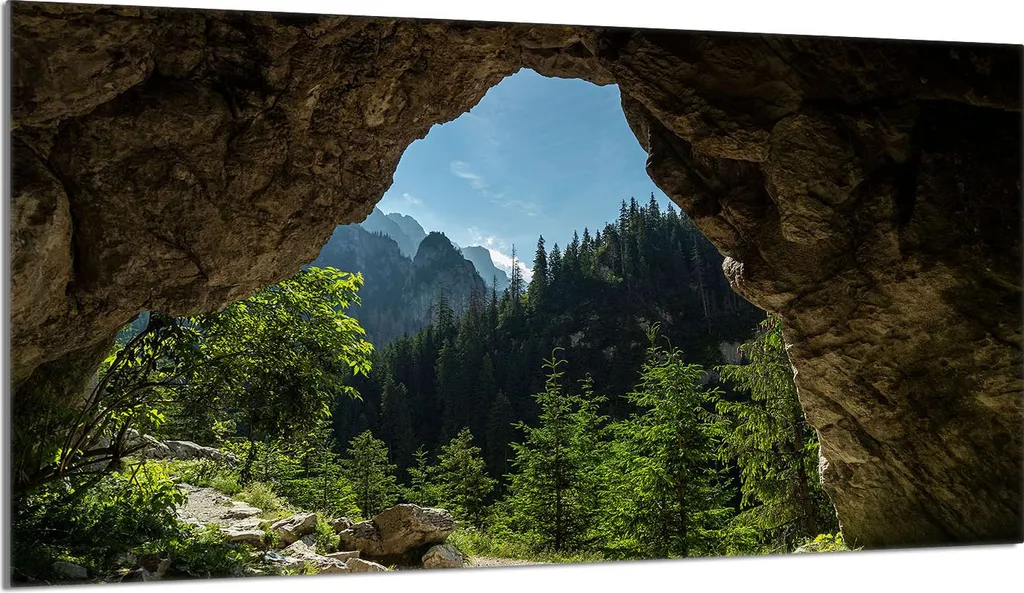 Protezione Piano Cottura 90x52 - Tagliere Vetro Foresta - Casa e Cucina