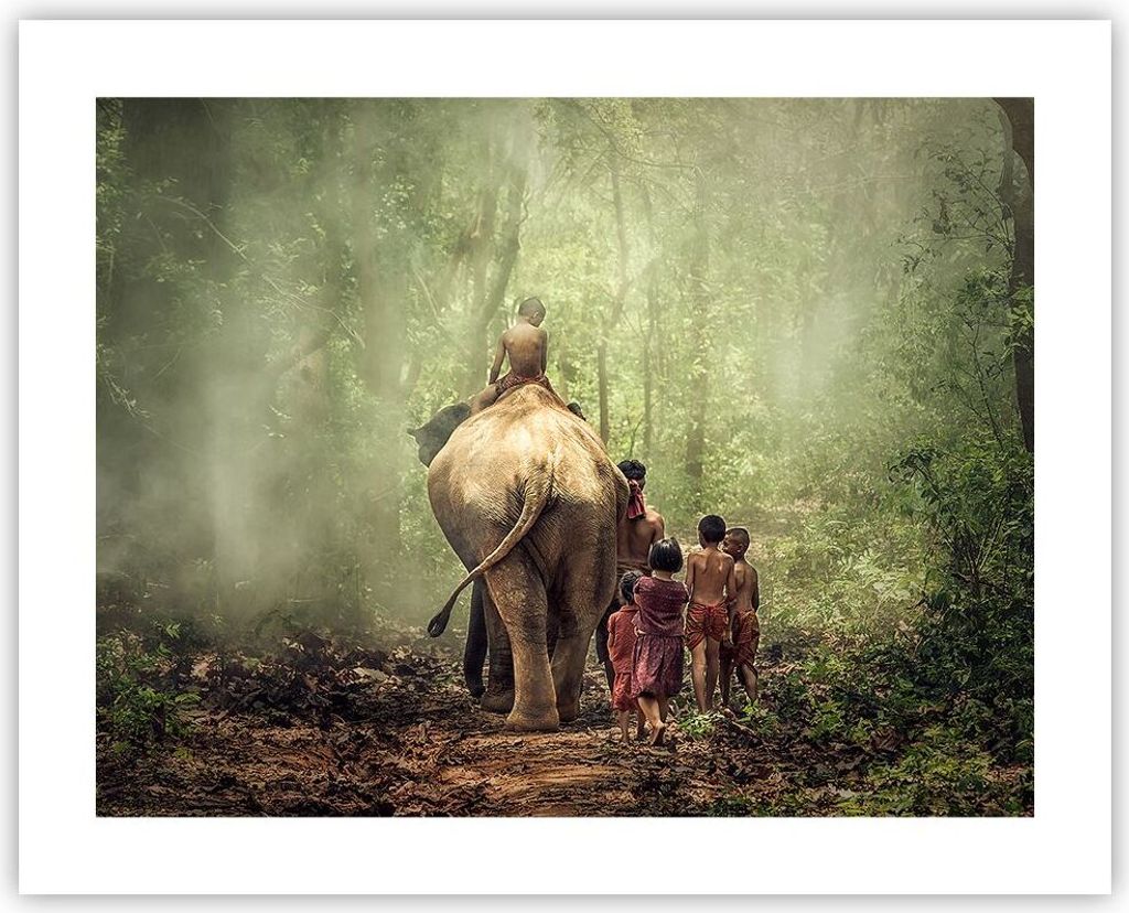 Poster - Poster ohne Rahmen - Elefant Dschungel Nebel - 50x40 cm - Wand Bild - Wanddeko - Wandbilder - Kunstposter - Wandposter - Bilder - Kunstdru...