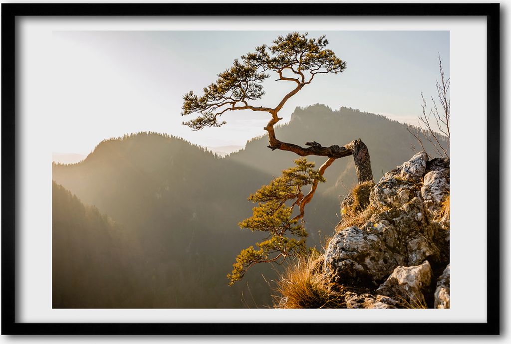 Bild 60x40 MDF-Rahmen, Wandkunst Pieniny Sokolica